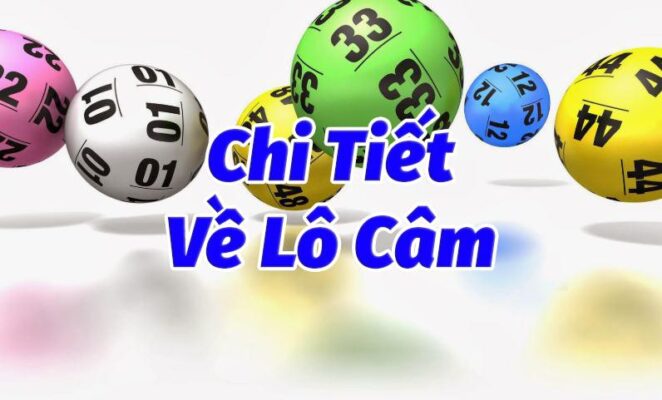 Đầu câm đánh con gì? Kinh nghiệm từ tay chơi số đề lâu năm