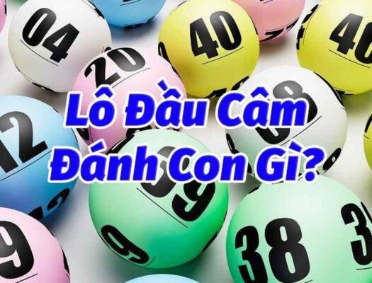 Đầu câm đánh con gì? Kinh nghiệm từ tay chơi số đề lâu năm